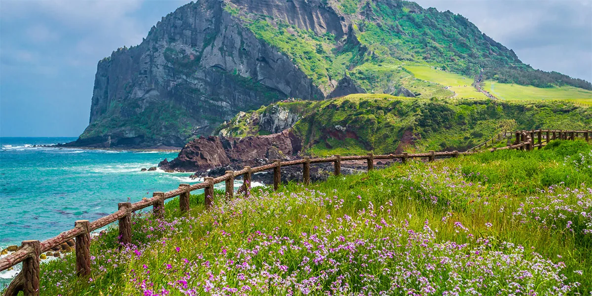 Những con đường đẹp như phim tại Jeju